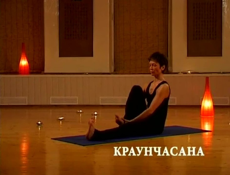 Хатха-йога