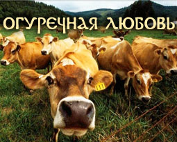 Огуречная любовь. Сериал. 1 серия