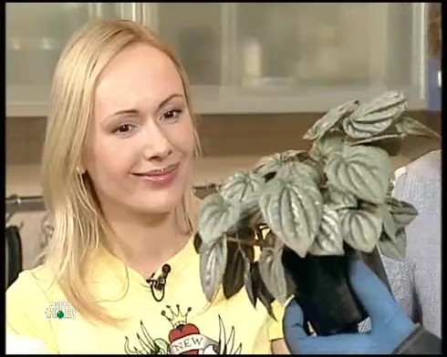Смотреть