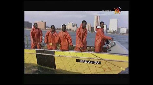 Смотреть
