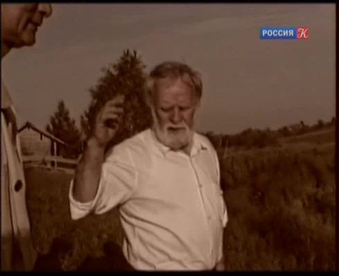 Смотреть
