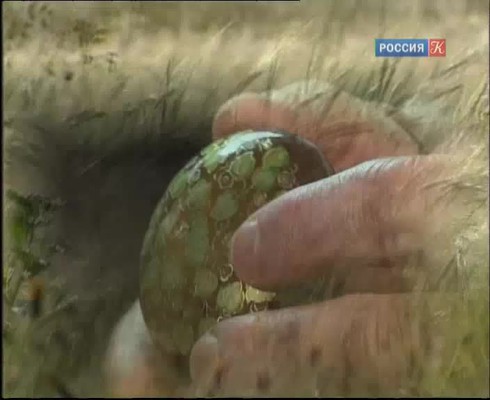 Смотреть