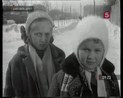 Смотреть