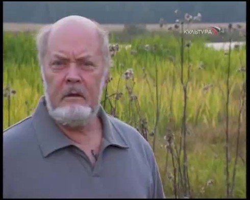 Смотреть