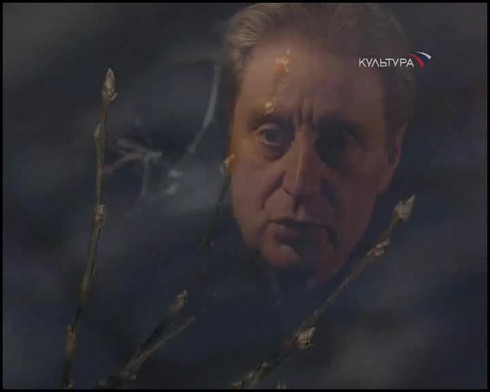 Смотреть
