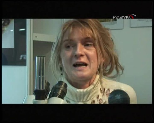 Смотреть