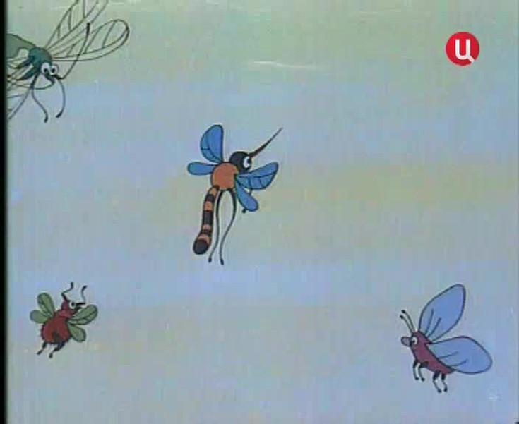 Как бабочка изучала жизнь