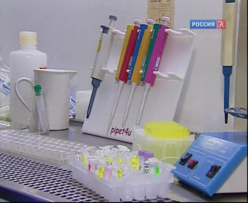 Смотреть