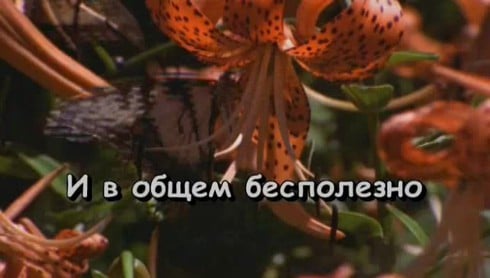 Смотреть