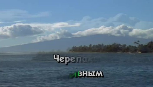 Смотреть