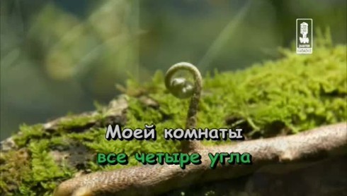Смотреть