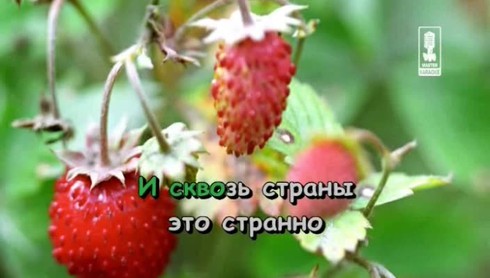 Смотреть