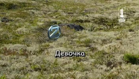 Смотреть