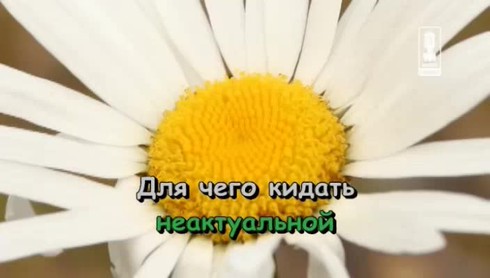 Смотреть