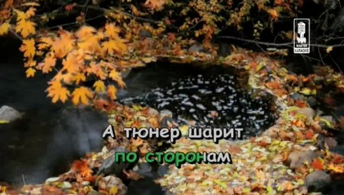 Смотреть
