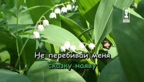 Смотреть