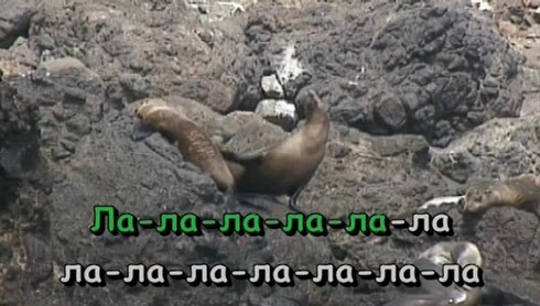 Смотреть