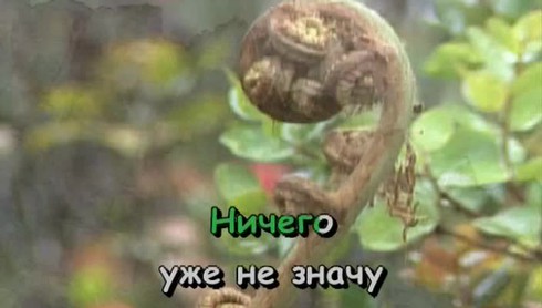 Смотреть