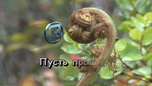 Смотреть