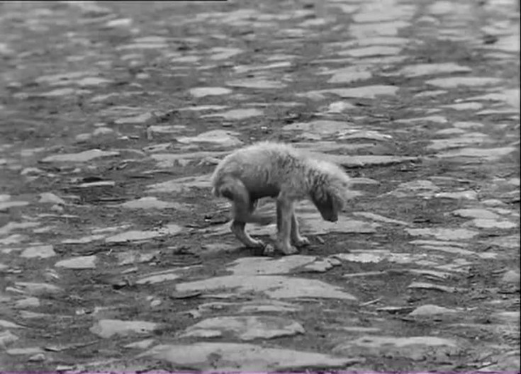 Смотреть "Византия " онлайн. Dокументальный фильм - eTVnet