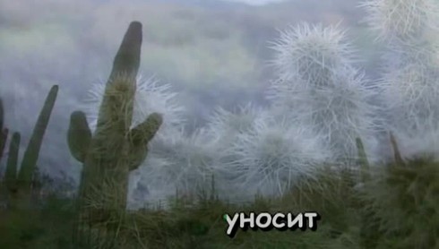 Смотреть