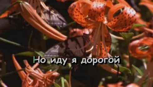 Смотреть