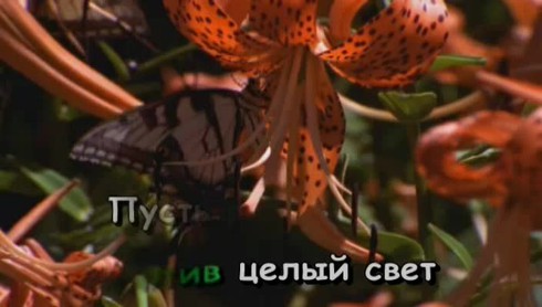 Смотреть