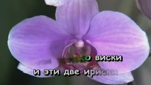 Смотреть