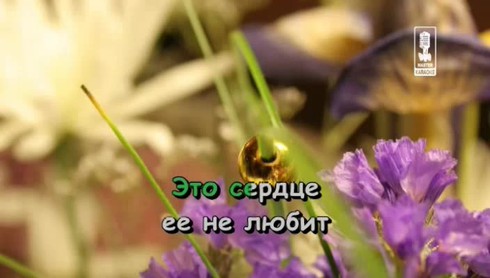 Смотреть