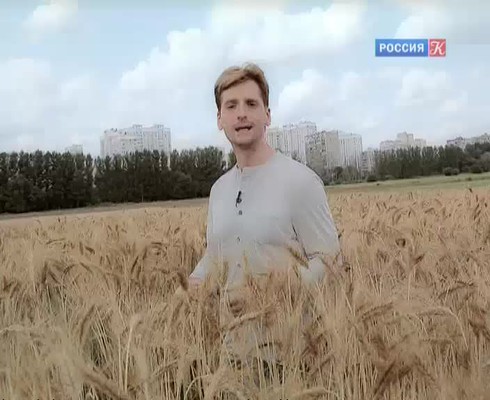 Смотреть