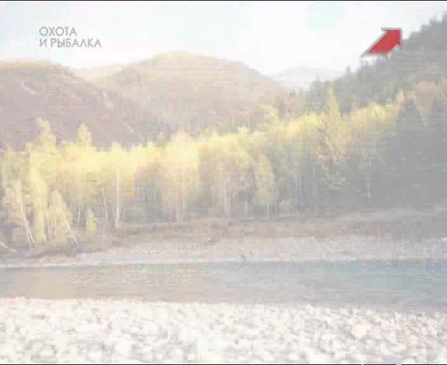 Смотреть