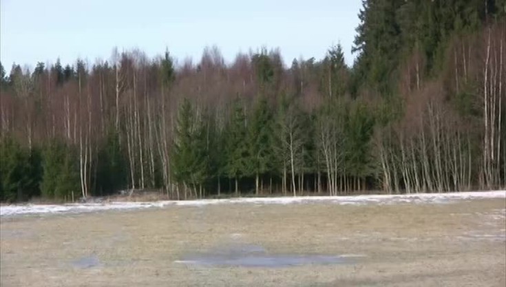 Охота на лисицу в Швеции