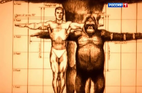 Смотреть