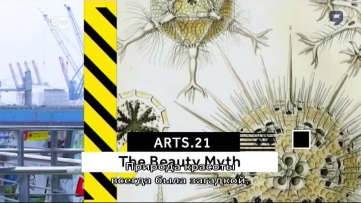 DW. Arts 21. На поиски красоты