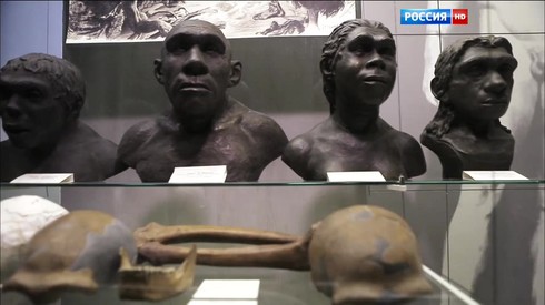 Смотреть
