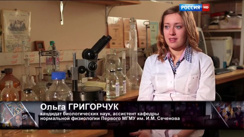 Смотреть