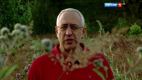 Смотреть