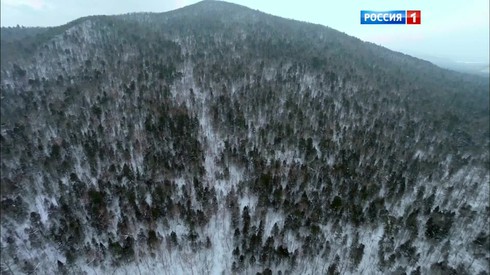 Смотреть