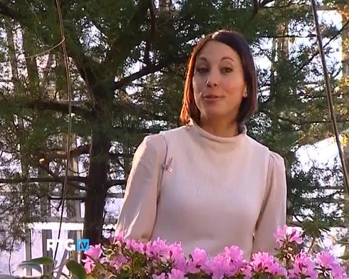 Смотреть