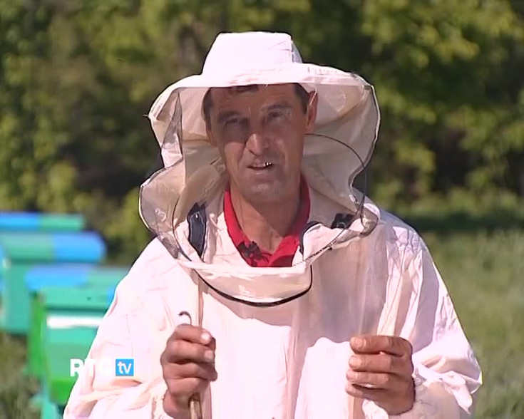 Пчеловодство в Башкирии