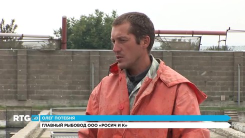 Смотреть