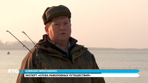 Смотреть
