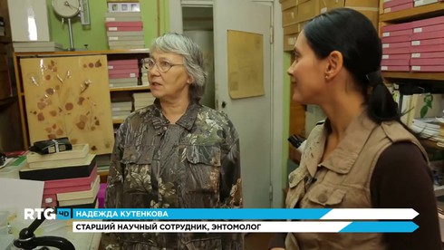 Смотреть