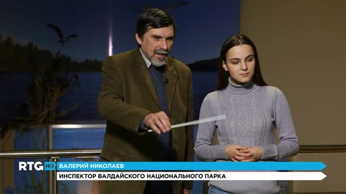 Смотреть