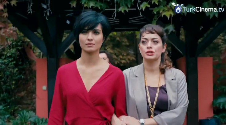 Смотреть "Отважный и красавица. 1 серия" онлайн. Сериал - eTVnet
