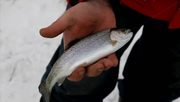 Зимняя рыбалка в Приволжье. 1 вы…