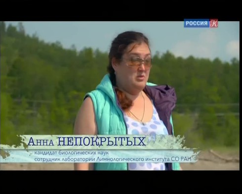 Смотреть