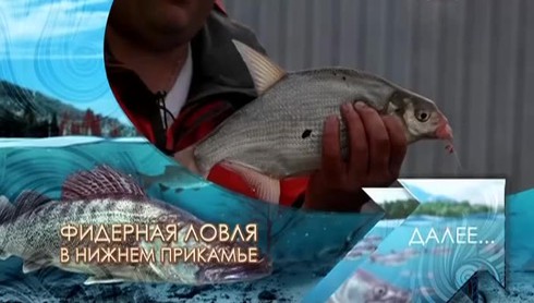Смотреть