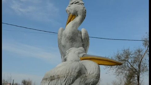 Смотреть