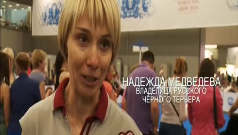 Смотреть